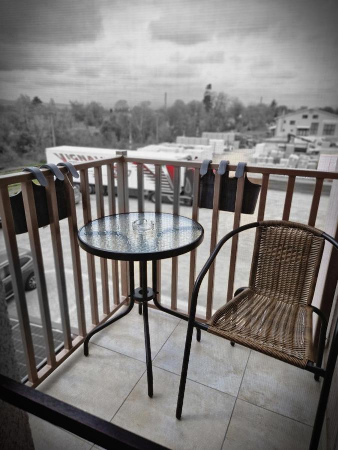 Ostello Casa Vatra Rădăuţi Esterno foto